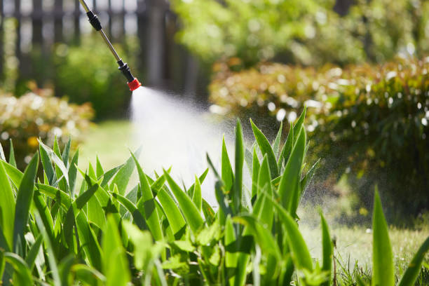 24/7 Emergency Wasp Removal experts in Covedale, OH